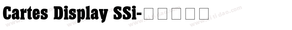 Cartes Display SSi字体转换